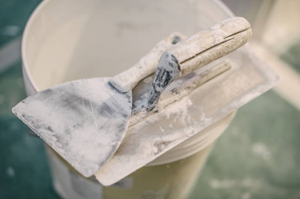 Best Emergency Mold Remediation  in Delray Beach, FL